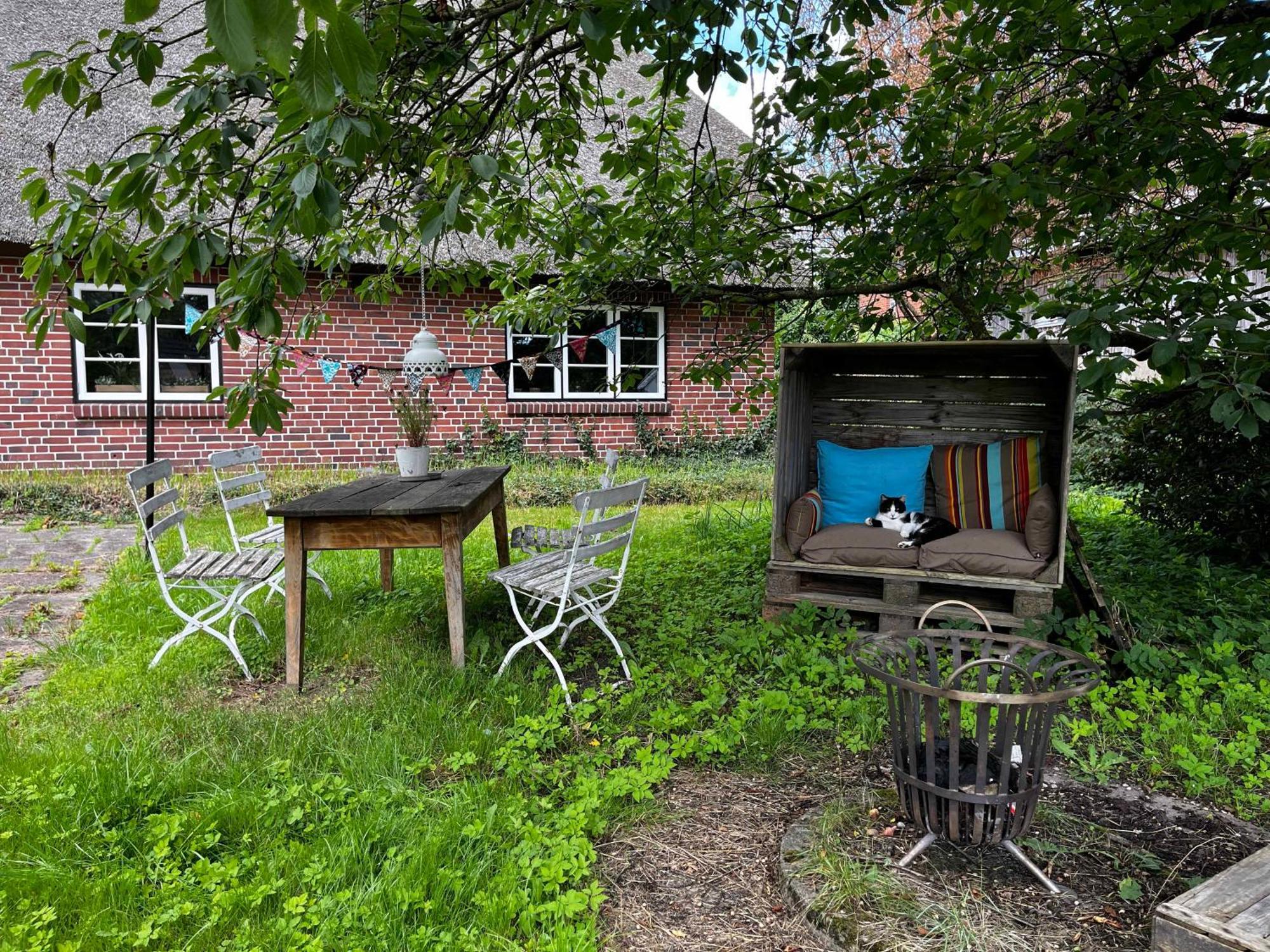 Ferienwohnung Elbkoje Drage  Exterior foto