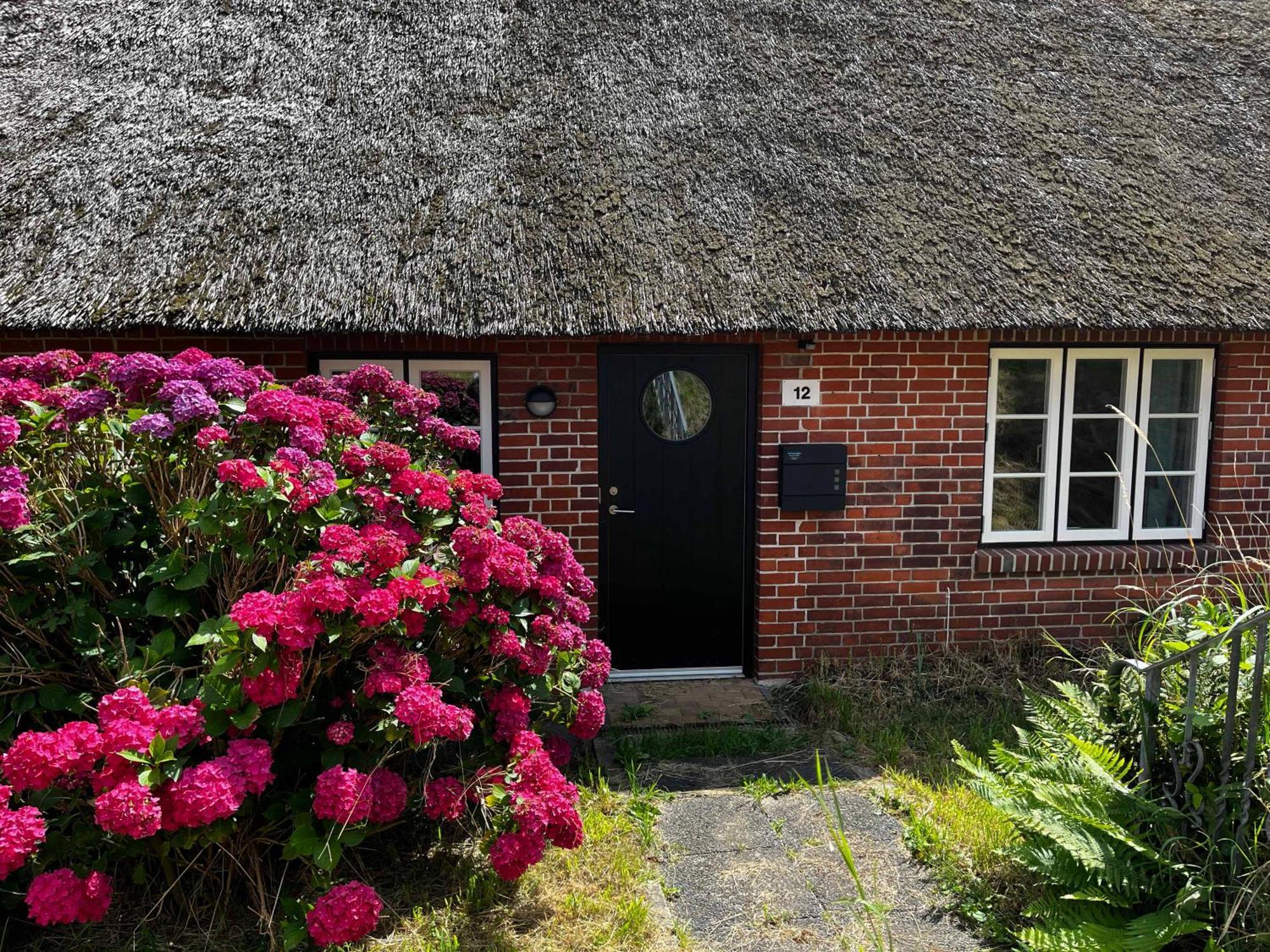 Ferienwohnung Elbkoje Drage  Exterior foto